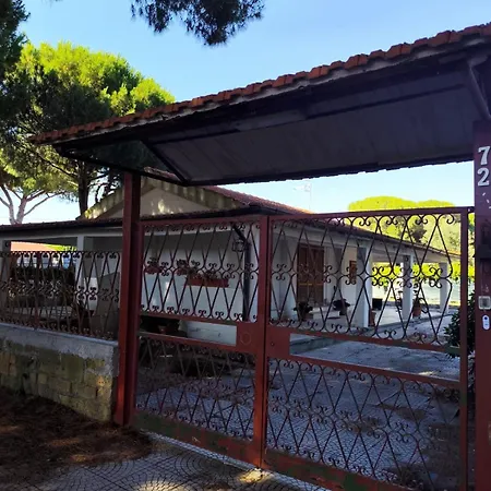 Casa Betty Holiday home Saline (Viterbo)